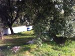 LA CIOTAT  A DEUX PAS CENTRE